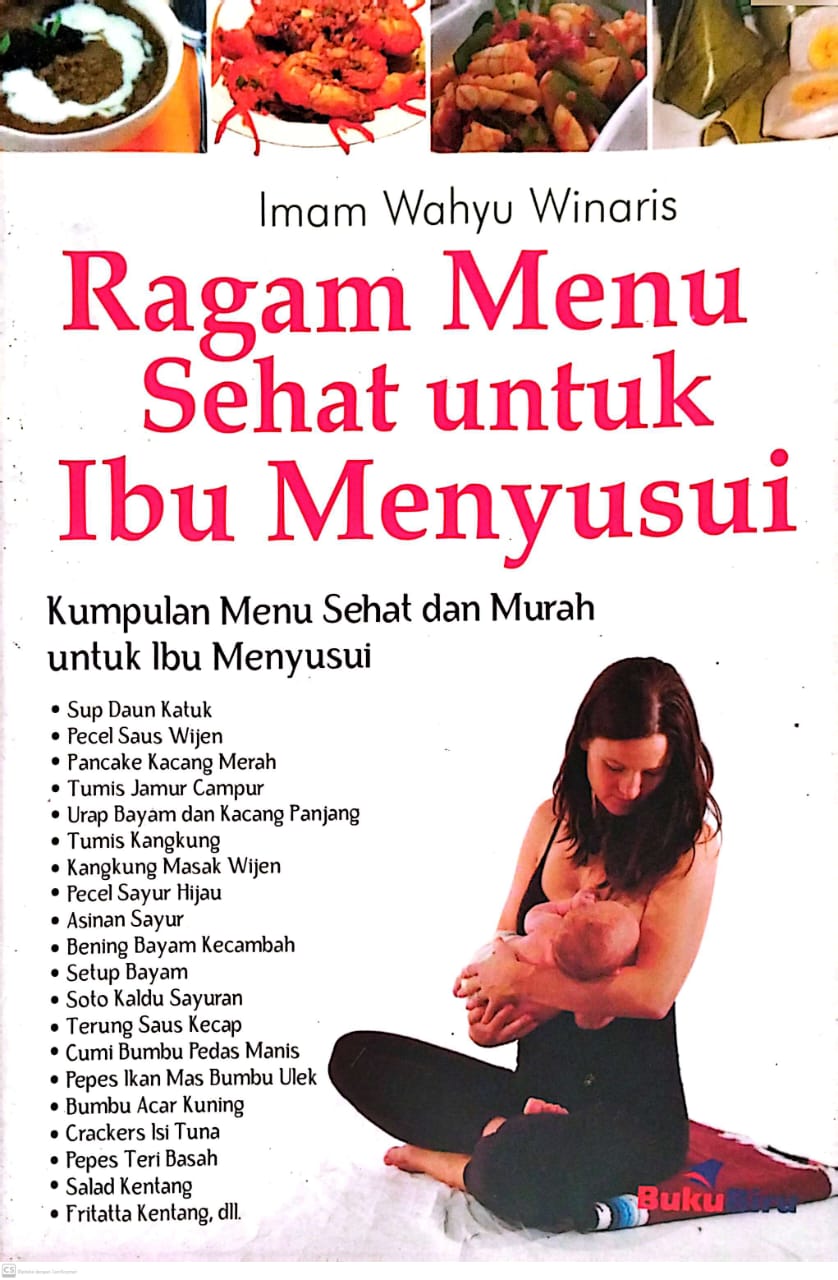 Ragam Menu Sehat Untuk Ibu Menyusui